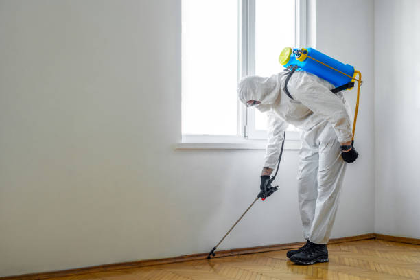 Best Pest Exclusion Services  in Suffield Depot, CT